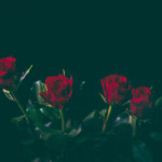 好意を伝えるタイミングはみんないつなの？