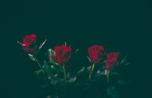 好意を伝えるタイミングはみんないつなの？