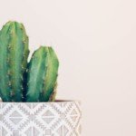 甘え下手な女子にお届けるする簡単＆効果抜群甘え方テクニック4選！